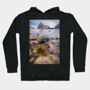 The Beach Near Brookings, Oregon Hoodie